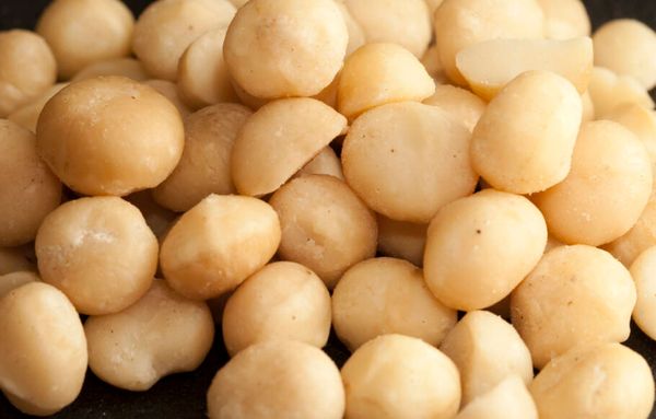 Macadâmia concorrente na categoria Da Terra