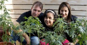 Mãe de menina doente ganha permissão para plantar maconha em casa
