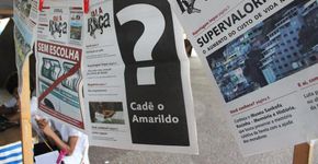 Gatos de cemitério, amados e bem cuidados
