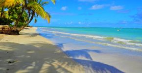 Foto: (Istock)