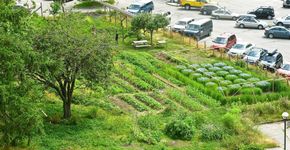 Áreas abandonadas são transformadas em hortas urbanas na Espanha
