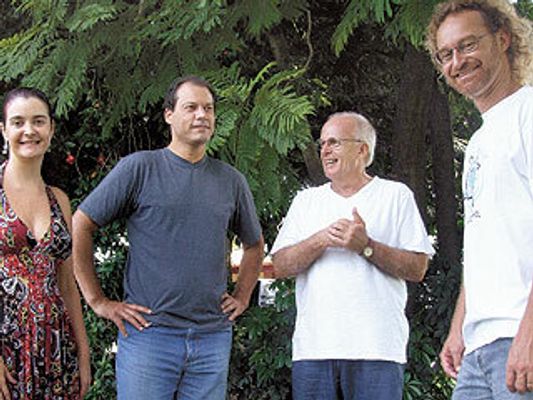 Quarteto Ipê Amarelo