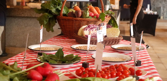 Experimenta! Comida, Saúde e Cultura