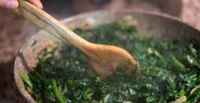 Foto: (mgstudyo/istock)