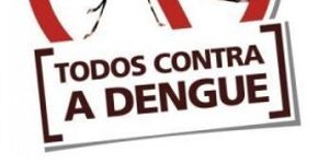 Três maneiras simples para prevenir o mosquito da dengue