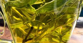 Foto: (fmajor/istock)