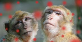 Foto: (BeritK/istock)