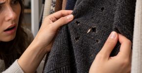 Moradora percebe que as roupas guardadas para o inverno começam a aparecer com pequenos furos, culpa a máquina de lavar e só muda de suspeita quando encontra o primeiro inseto dentro do guarda roupa
