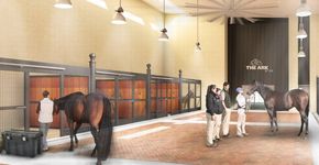 Aeroporto de NY terá terminal de luxo exclusivo para animais