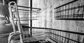 Série fotográfica “Eu, Corrupto” evidencia maus hábitos do cidadão