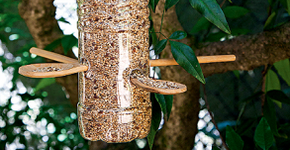 Campanha convida escolas brasileiras para “brincarem” de sustentabilidade
