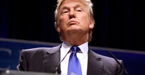 8 pessoas de países distintos definem Donald Trump em uma frase