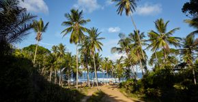 Foto: (Istock/Travel_Motion)