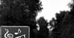 No Dia do Músico, conheça um site sobre os novos caminhos da música instrumental