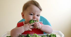 Método BLW: 10 passos para fazer a introdução alimentar