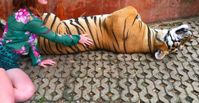 Marina Ruy Barbosa é criticada após tirar fotos com tigre em zoo