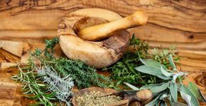 Foto: (Andreas Steidlinger/istock)