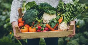 Foto: (hobo_018_iStock)