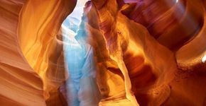 Foto: (iStock)