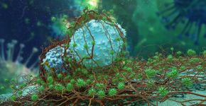 Foto: (nopparit/istock)