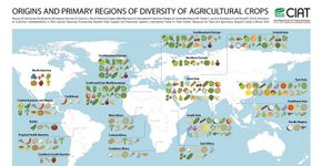 História dos alimentos: mapa destaca origem dos alimentos como banana, coco e manga