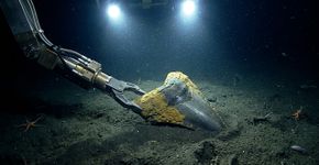 A 3.000 metros de profundidade, um robô encontrou um dente de megalodonte em um lugar onde ninguém havia chegado antes
