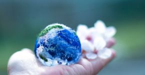 Plataforma incentiva debate sobre consumo consciente e sustentabilidade