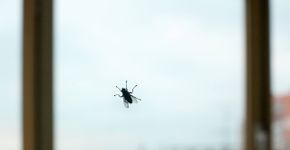 Foto: (iStock/Vera Shestak)