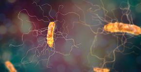 Foto: (Dr_Microbe/istock)