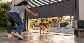 Família troca o portão de casa por um modelo automático, cachorro passa a fugir sempre que ele abre e todos percebem tarde demais que o antigo portão tinha uma barreira que ninguém considerava importante
