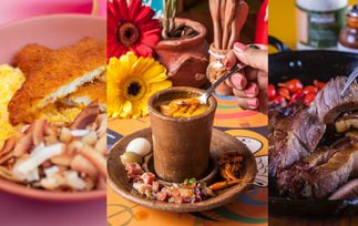 Gira event: Onde comer comida nordestina em SP: 13 restaurantes deliciosos