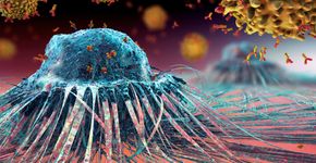 Foto: (iStock/Christoph Burgstedt)