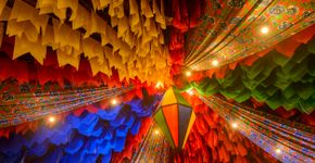 Foto: (cacio murilo de vasconcelos/iStock)