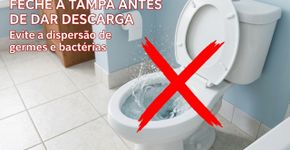 Eu entendi tarde demais por que a tampa do vaso sanitário sempre deve ser fechada antes de dar a descarga