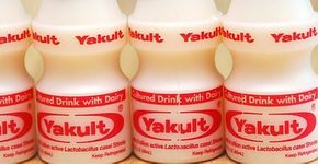 Aprenda a fazer litrão de Yakult em casa
