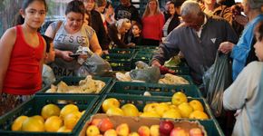 Com produtos a menos de R$ 2, ‘Nossa Feira’ ganha cinco novos pontos em Curitiba