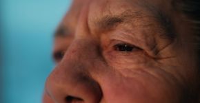 Foto: (iStock/recep-bg)