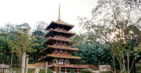 Torre de Miroku retoma passeios com saída do Parque Oriental