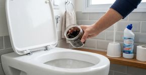 Despejar borra de café usada no vaso sanitário: para que serve e por que muitos recomendado