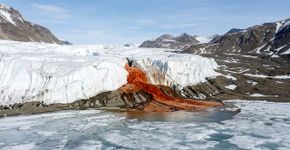 Uma “cachoeira de sangue” escorre de uma geleira na Antártida, mas a água vermelha passou muito tempo isolada debaixo do gelo antes de aparecer na superfície