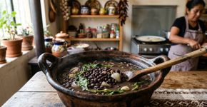 Os mexicanos concordam: “Para deixar o feijão mais perfumado e saboroso, o segredo é adicionar epazote durante o cozimento.”