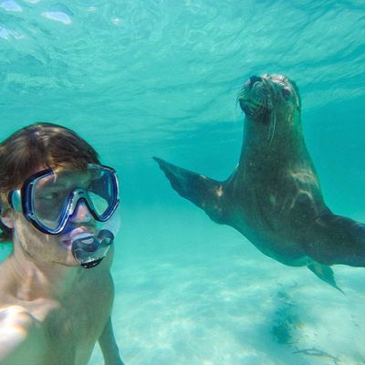 Fotógrafo tira selfies com animais
