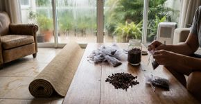 Cravo embaixo do tapete: o segredo simples para uma casa sem cheiro de mofo