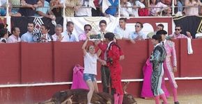 Após ouvir touro chorando, ativista invade tourada na Espanha