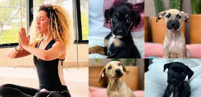 Yoga com filhotes