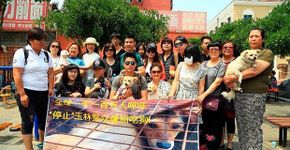 Ativistas protestam contra festival de carne de cachorro na China