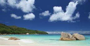 Foto: (PeskyMonkey/iStock)
