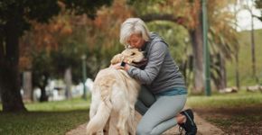 5 dicas para melhorar a comunicação com o seu cão