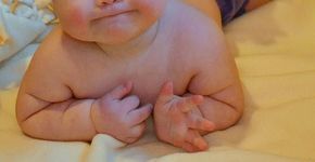 Foto: (Picasa)