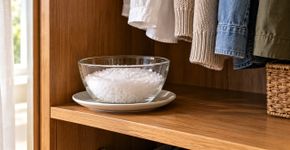 Por que você deve colocar um pote com sal grosso no canto do guarda-roupa